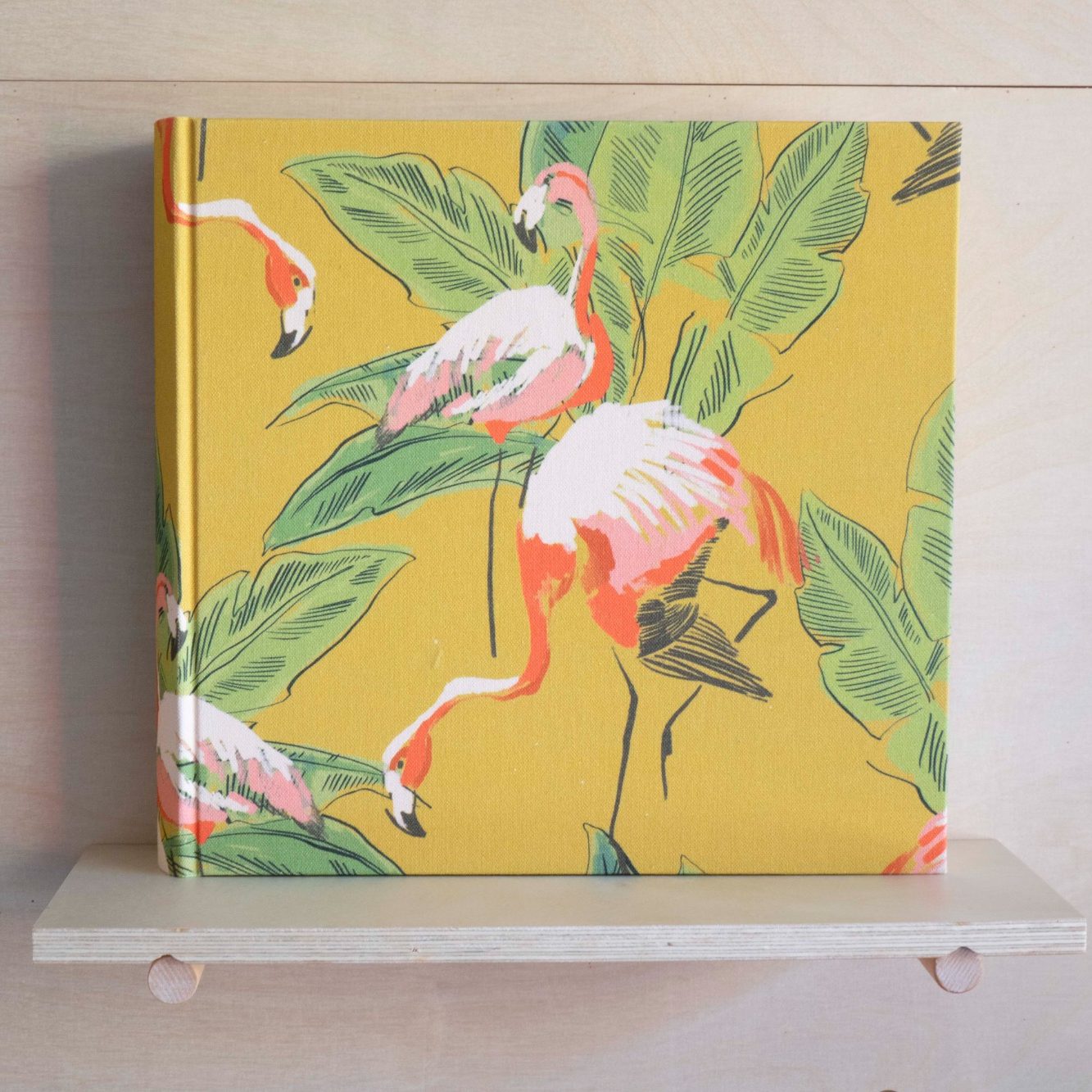flamencos álbum fotografías